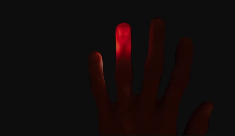 Finger Vein Recognition